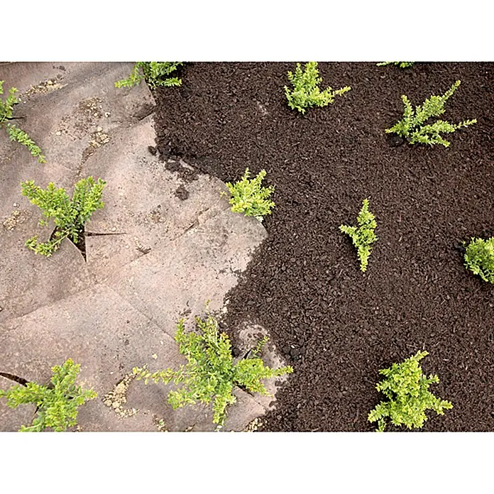 Gardol Premium Unkrautvlies - Polypropylen, 3 x 2 m - Garten mit braunem Mulch und Pflanzen zwischen Pflastersteinen, eine schöne Gartengestaltungsidee.