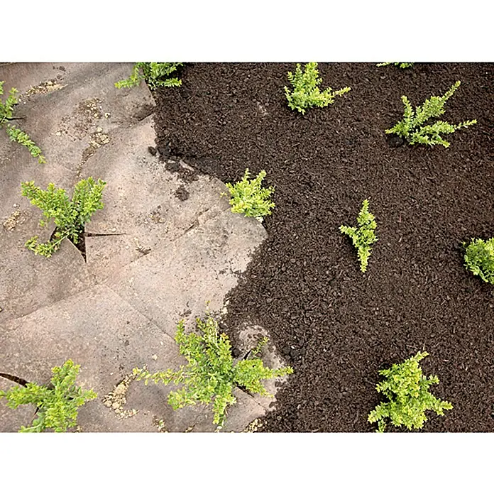 Gardol Premium Unkrautvlies - Polypropylen, 3 x 2 m - Garten mit braunem Mulch und Pflanzen zwischen Pflastersteinen, eine schöne Gartengestaltungsidee.