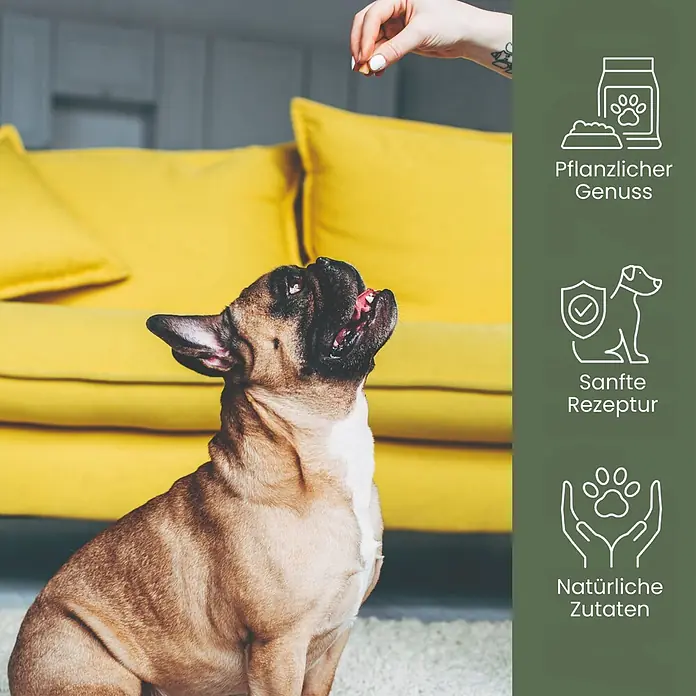 Alphazoo Hundesnack Grüner wird's nicht - 260 g