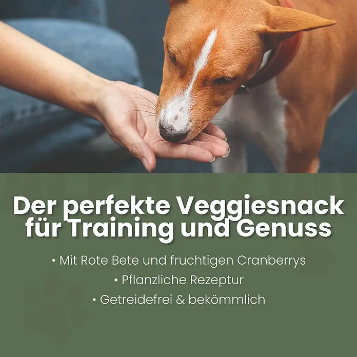 Alphazoo Hundesnack Grüner wird's nicht - 260 g