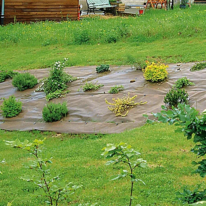 Mulchvlies Meterware - Polypropylen, 125 g/m² - Das Foto zeigt eine braune Unkrautfolie im Garten, die zwischen grünen Pflanzen und Gras ausgelegt ist, um Unkrautwachstum zu verhindern.
