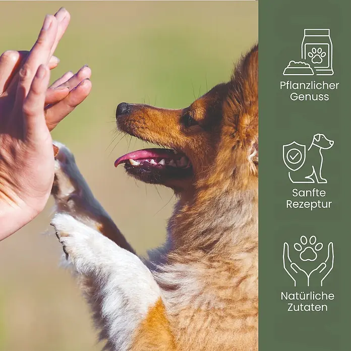 Alphazoo Hundesnack Karotten-Karate - 130 g