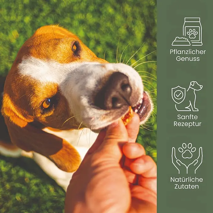 Alphazoo Hundesnack Couchpotatoes - 130 g