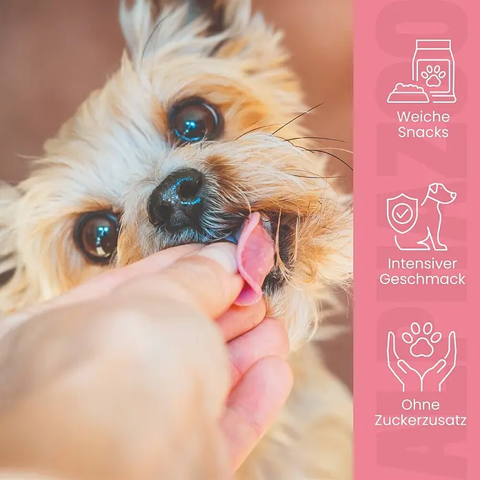Alphazoo Hundesnack Ente ohne Süß-Sauer - 300 g