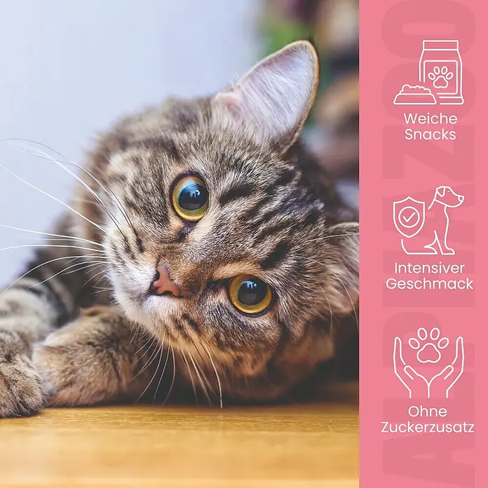 Alphazoo Katzensnack Verlachst Nochmal - 160 g