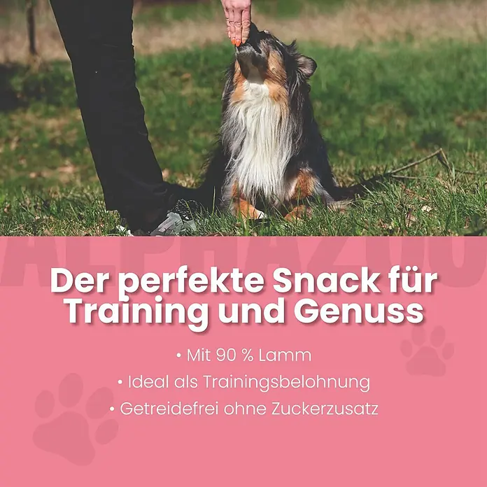 Alphazoo Hundesnack Lamm-Barda Tanzen - 300 g