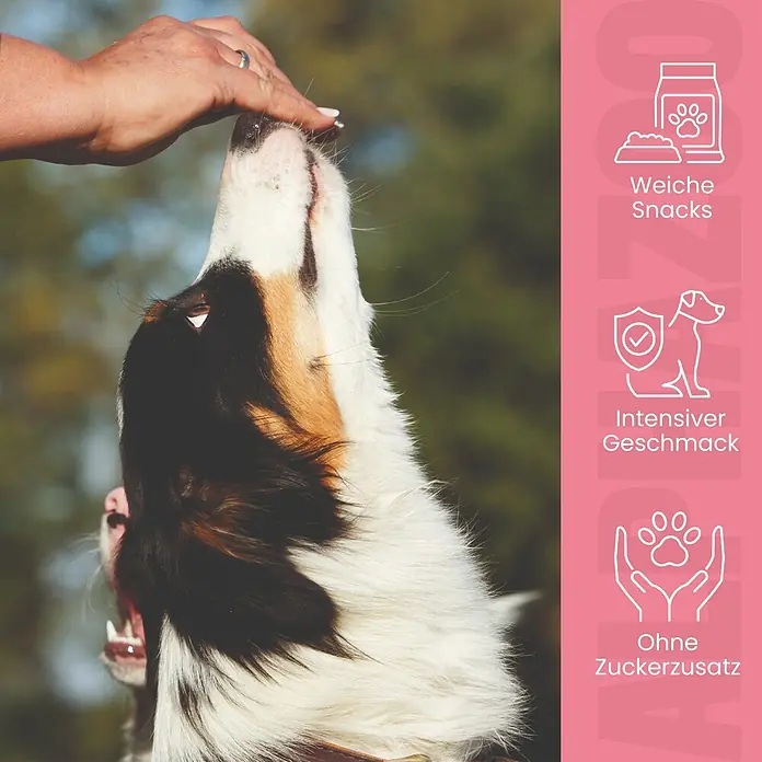 Alphazoo Hundesnack Kleines Rinderz-Vous - 160 g