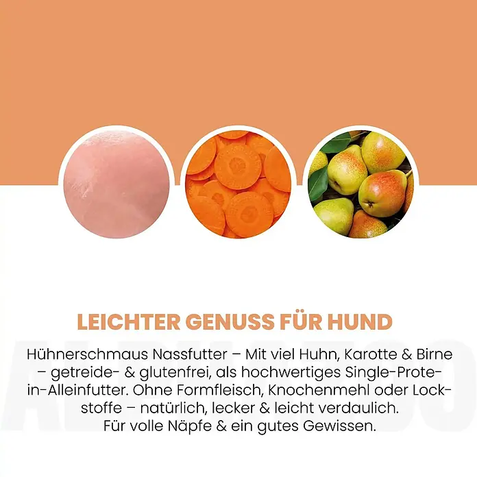 Alphazoo Hundenassfutter Lachs + Truthahn 6x400g - 2.400 g, Alleinfuttermittel