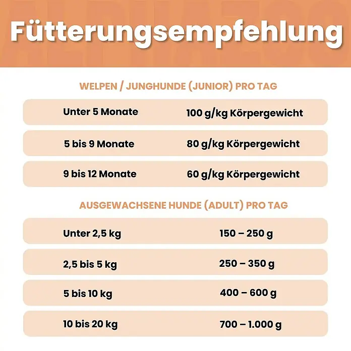 Alphazoo Hundenassfutter Lachs + Truthahn 6x400g - 2.400 g, Alleinfuttermittel
