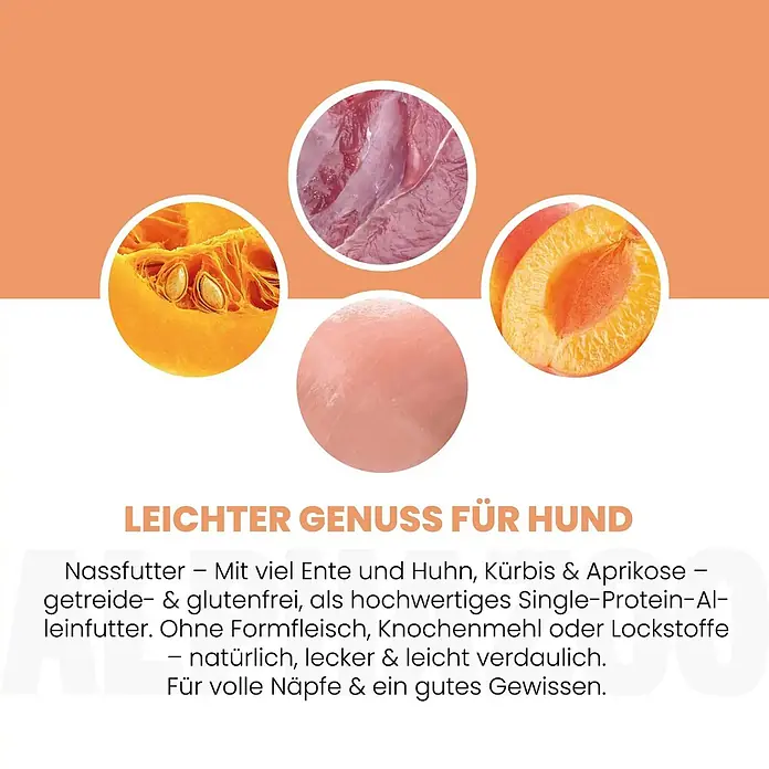 Alphazoo Hundenassfutter Ente + Huhn 12x400g - 4.800 g, Alleinfuttermittel