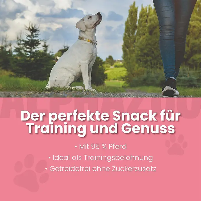 Alphazoo Hundesnack Schwing Die Hufe - 160 g