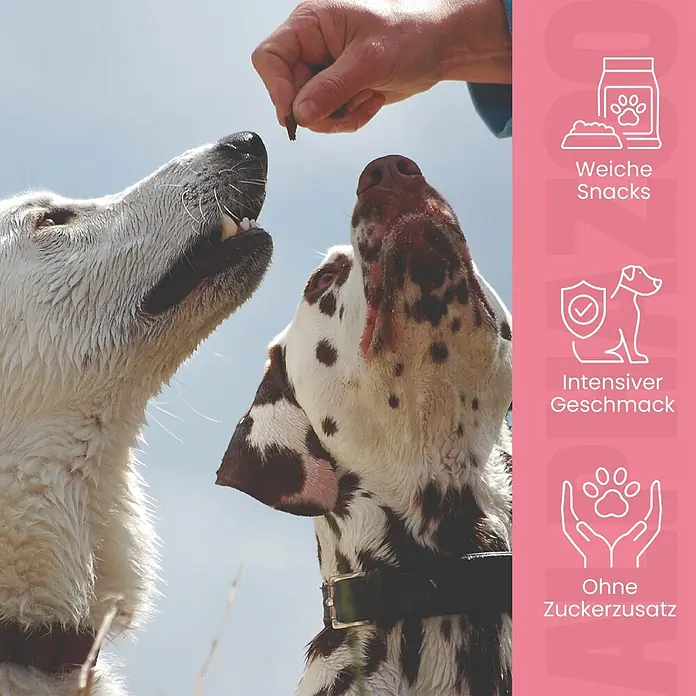 Alphazoo Hundesnack Schwing Die Hufe - 160 g