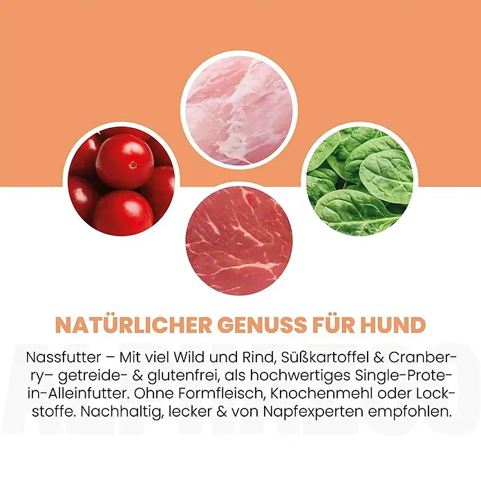 Alphazoo Hundenassfutter Wild + Rind 6x400g - 2.400 g, Alleinfuttermittel