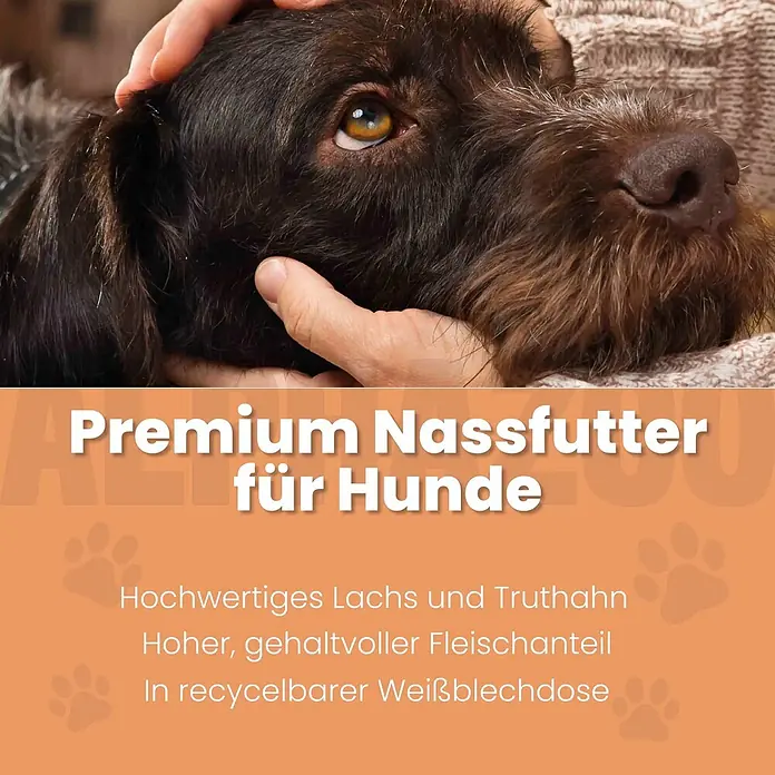 Alphazoo Hundenassfutter Lachs + Truthahn 12x400g - 4.800 g, Alleinfuttermittel