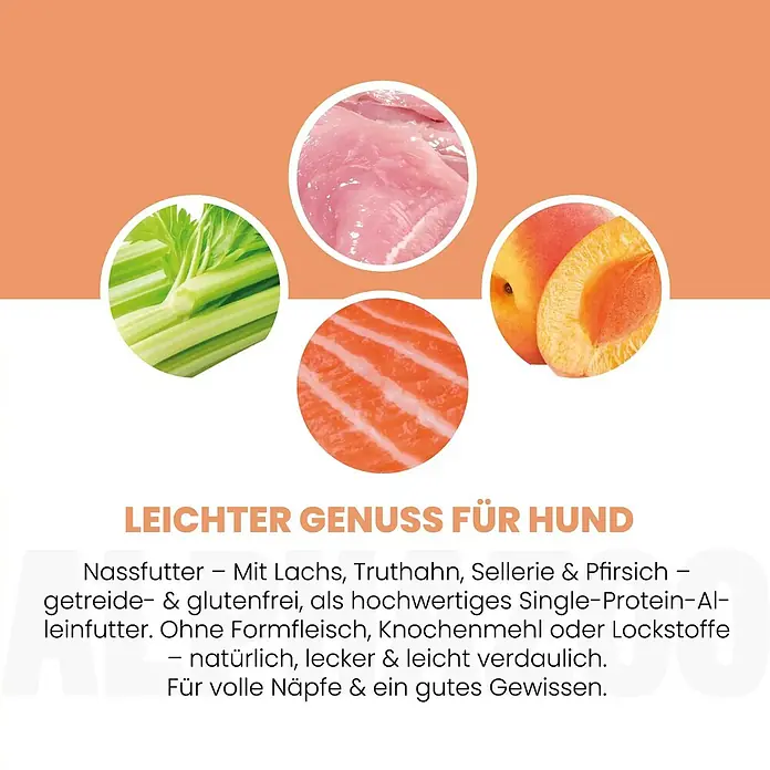 Alphazoo Hundenassfutter Lachs + Truthahn 12x400g - 4.800 g, Alleinfuttermittel