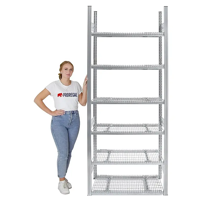 Proregal Schwerlastregal Drahtgitterbodenregal MAGNUS - H x B x T: 250 x 100 x 50 cm, Traglast pro Boden: 250 kg, Anzahl Böden: 6 Stk., Stecken, Verzinkt