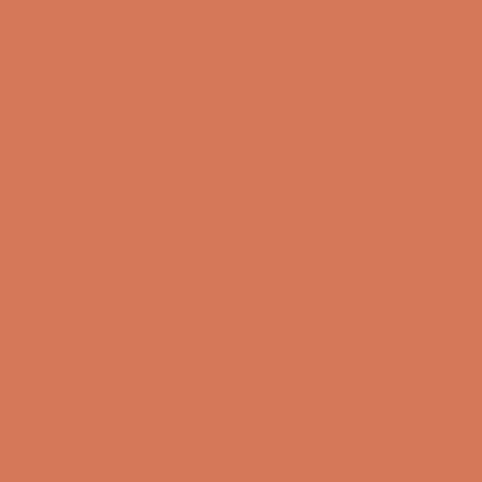 SCHÖNER WOHNEN-Farbe Vollton- & Abtönfarbe - Terracotta, Matt, 500 ml - Vollflächige Darstellung in einem kräftigen Terrakotta-Farbton. Ideal als Hintergrund oder zur Hervorhebung von Designelementen.