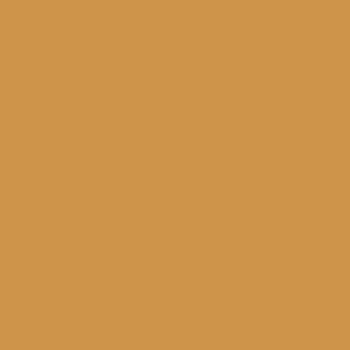 SCHÖNER WOHNEN-Farbe Vollton- & Abtönfarbe - Ocker, Matt, 500 ml - Einfarbiges Bild in einem warmen Goldton. Perfekt als Hintergrund für Designs und Präsentationen, vermittelt es Wärme und Eleganz.