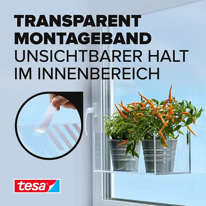 Tesa Powerbond Montageband Transparent - 5 m x 19 mm, Beidseitig selbstklebend - Transparentes Montageband, auf ein Fenster geklebt, hält ein Acrylregal mit Pflanzen. Bietet unsichtbaren, starken Halt im Innenbereich.
