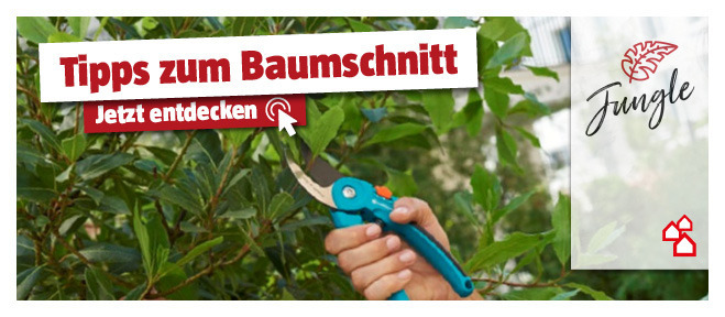 Baumschnitt einer Hecke