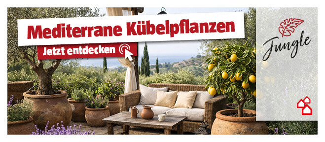 Balkon mit mediterrane Kuebelpflanzen