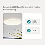 Eglo LED-Deckenleuchte rund Pogliola (36 W, Weiß, Ø x H: 500 x 55 mm)