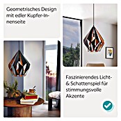 Eglo Pendelleuchte rund (60 W, Schwarz, Ø x H: 38,5 x 110 cm)