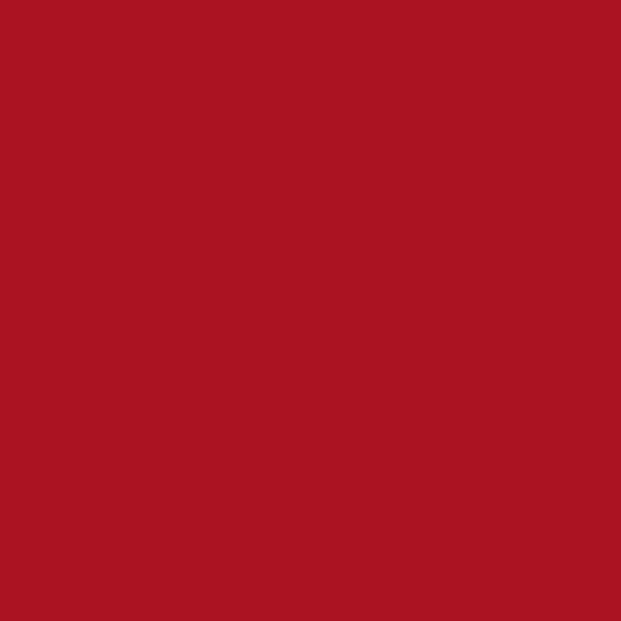 Lefranc & Bourgeois Acrylfarbe (Primärrot, 500 ml, Flasche, Geeignete Malgründe: Gips) | BAUHAUS
