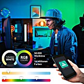 Eglo connect.z LED-Band (Länge: 500 cm, Lichtfarbe: RGBW, 1 250 lm) | BAUHAUS