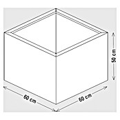 Palatino Exlusive Line Pflanzgefäß (60 x 60 x 50 cm, Cortenstahl, Rotbraun)