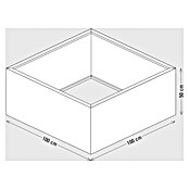 Palatino Exlusive Line Pflanzgefäß (100 x 100 x 50 cm, Cortenstahl, Rotbraun)