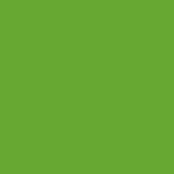 Liquitex Basics Acrylfarbe (Limettengrün, 118 ml, Tube)