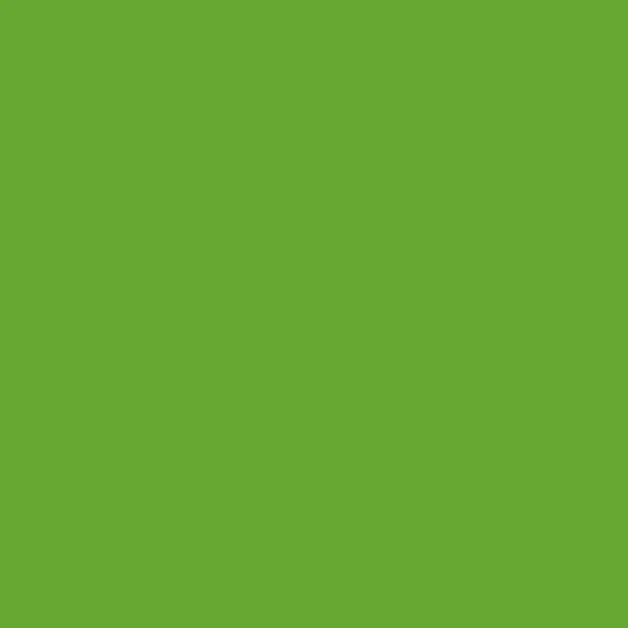 Liquitex Basics Acrylfarbe - Limettengrün, 22 ml - Vollflächige grüne Farbe