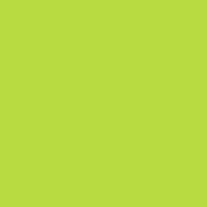 Liquitex Basics Acrylfarbe - Gelbgrün, 22 ml - Limettengrüner Farbmuster.
