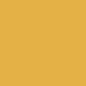 Liquitex Basics Acrylfarbe (Gold, 118 ml, Tube)