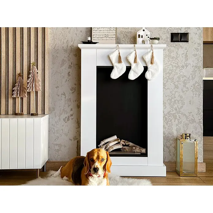 Bysil Kaminofen Bioethanol Standkamin Pula Mini, TÜV-Brenner 0,9 l, Weiß - Material Verkleidung: Stahl, Schwarz
