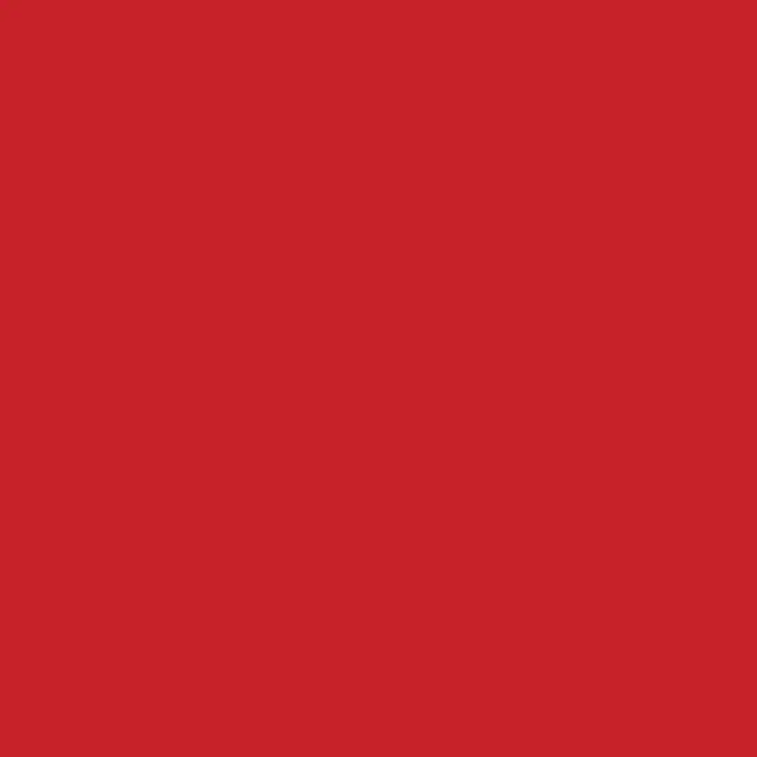 Liquitex Basics Acrylfarbe - Naphtholrot, 118 ml - Einfarbig rotes Farbmuster.