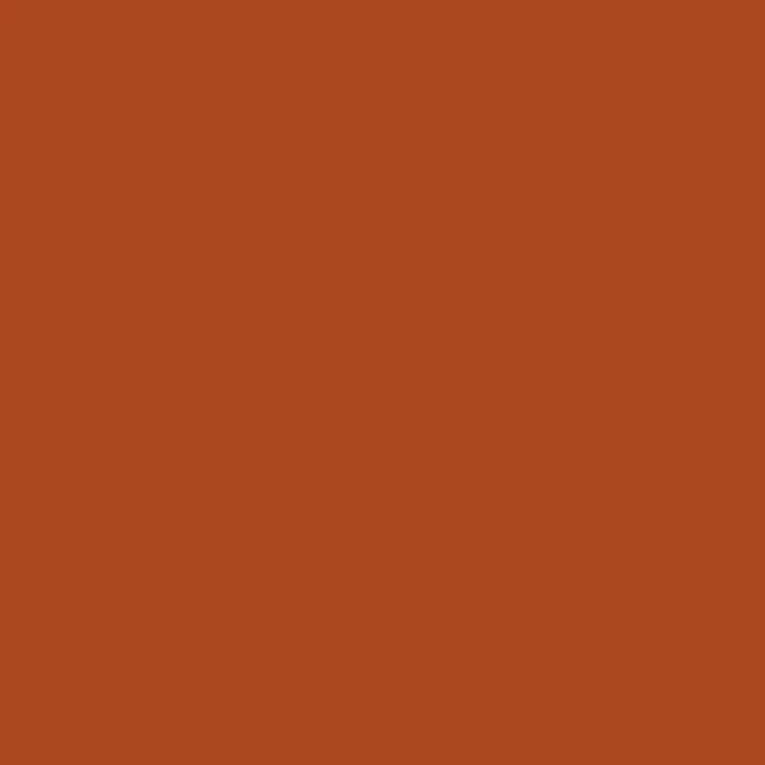 Liquitex Basics Acrylfarbe - Oxidrot, 22 ml - Terrakotta-Farbe.