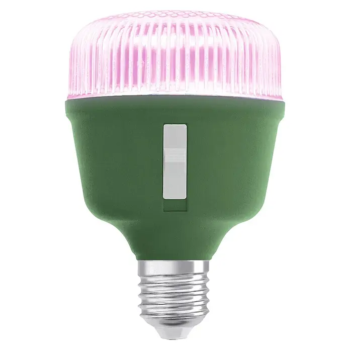 Ledvance Bombillas LED Star Grow - E27, No regulable, Multicolor, 650 lm, 20 W - Bombilla LED de crecimiento con parte superior rosa brillante, cuerpo verde oscuro, interruptor blanco y base de rosca metálica.