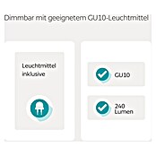 Eglo LED-Deckenstrahler BUZZ-LED (12 W, Schwarz, 4 Stk.) | BAUHAUS