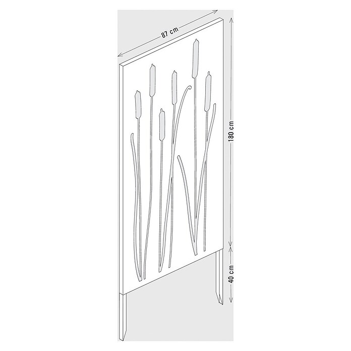 Palatino Space Vertical  Sichtschutzelement (87 x 180 cm, Cortenstahl, Motiv: Schilf, Edelrost)