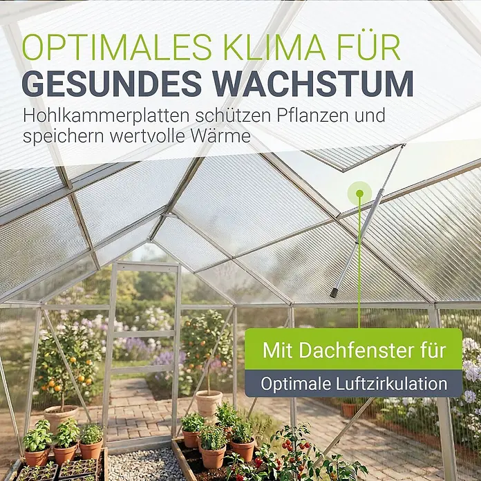 Juskys Gewächshaus Gewächshaus - 190 x 190 cm, Material Seitenwand: Kunststoff, 4 mm, Silber