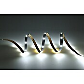 Eglo connect.z LED-Band (Länge: 500 cm, Lichtfarbe: RGBW, 1 250 lm) | BAUHAUS
