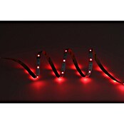 Eglo connect.z LED-Band (Länge: 500 cm, Lichtfarbe: RGBW, 1 250 lm) | BAUHAUS