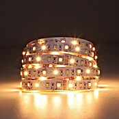 Eglo connect.z LED-Band (Länge: 500 cm, Lichtfarbe: RGBW, 1 250 lm) | BAUHAUS