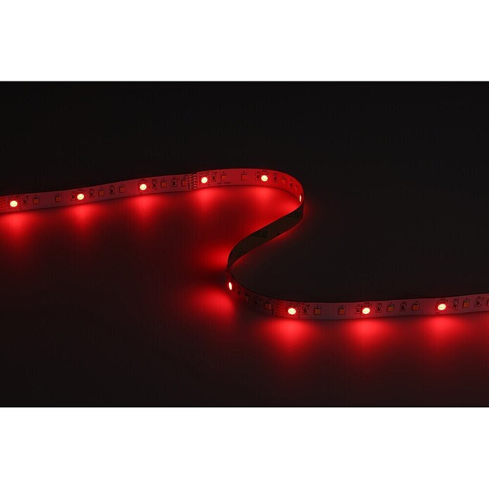 Eglo connect.z LED-Band (Länge: 500 cm, Lichtfarbe: RGBW, 1 250 lm) | BAUHAUS