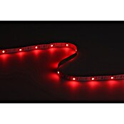 Eglo connect.z LED-Band (Länge: 500 cm, Lichtfarbe: RGBW, 1 250 lm) | BAUHAUS