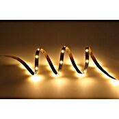 Eglo connect.z LED-Band (Länge: 500 cm, Lichtfarbe: RGBW, 1 250 lm) | BAUHAUS