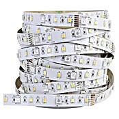 Eglo connect.z LED-Band (Länge: 500 cm, Lichtfarbe: RGBW, 1 250 lm) | BAUHAUS