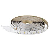 Eglo connect.z LED-Band (Länge: 500 cm, Lichtfarbe: RGBW, 1 250 lm) | BAUHAUS